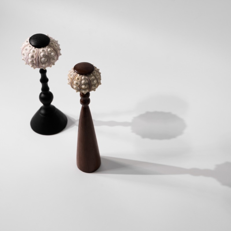 Kreatywna rzeźba muszli ręczni – Interior Design Exhibition recenzja i cena